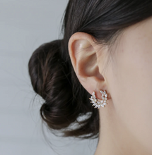 Load image into Gallery viewer, Statement Grey: YULA EARRING (SILVER)
